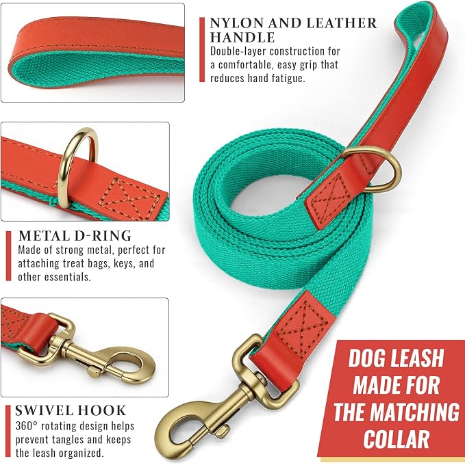 Dog Collar and Leash Set with Metal Quick Release Buckle, Adjustable, Breathable Nylon, Durable, Soft and Comfortable, No Pull for Walking and Training, Cyan, L (14.9"-22.8")