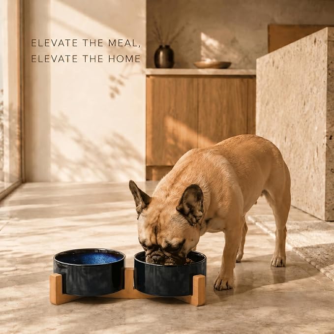 SPUNKYJUNKY Ceramic Dog and Cat Bowl Set with Wooden Stand, Modern Cute Weighted Food Water Set for Small Size Dogs (13.5OZ) & Medium Sized Dogs (28.7OZ) & Cats (3.6 Cups, 2 × Starry Blue)