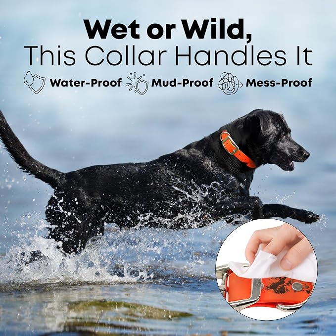 Regal Dog Products Medium Orange Dog Collar with Heavy Duty Double Buckle & D Ring | Vinyl Coated, Custom Fit, Adjustable Biothane Dog Collar | Chew Resistant Waterproof Collar for Dogs
