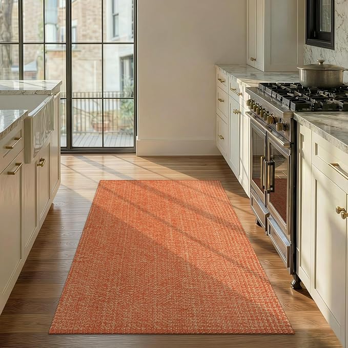 LEEVAN Washable Kitchen Rugs 3x5, Terra Bedroom Rug, Cotton Woven Entryway Rug, Modern Braided Door Mat, Farmhouse Living Room Rugs, Reversible Carpet for Laundry Room Front Porch Outdoor Doormat