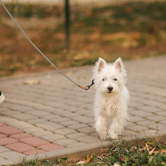 Mile High Life Small Dog Leash, Thin Rope Leash with Genuine Leather Connection and Heavy Duty Metal Clasp, Great for Small Medium Dogs(Black Khaki,60 Inch-1/3)