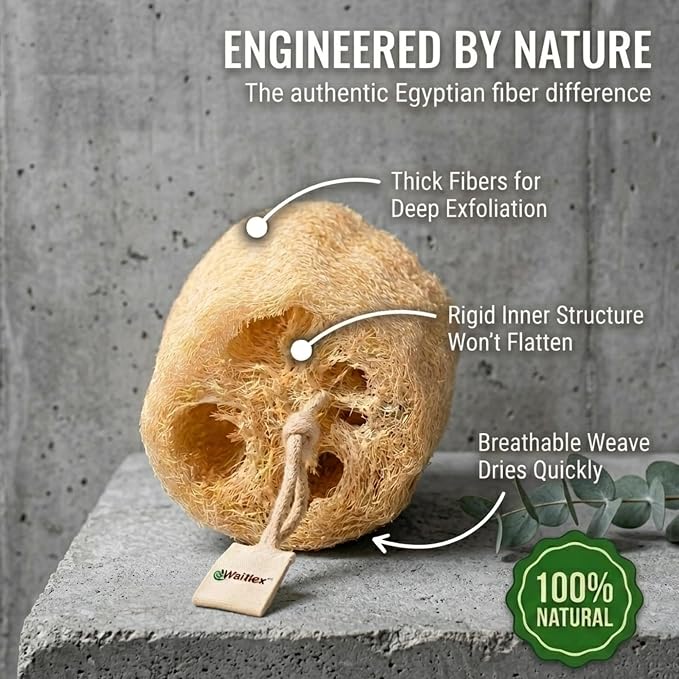 Waritex Organic Egyptian Loofah Sponges Exfoliating Scrubber Bath [3 Pack] | Natural Loofah Fiber for Gentle Skin Exfoliation, Deep Cleansing Full Body Spa Experience, Smooth Radiant Skin Care