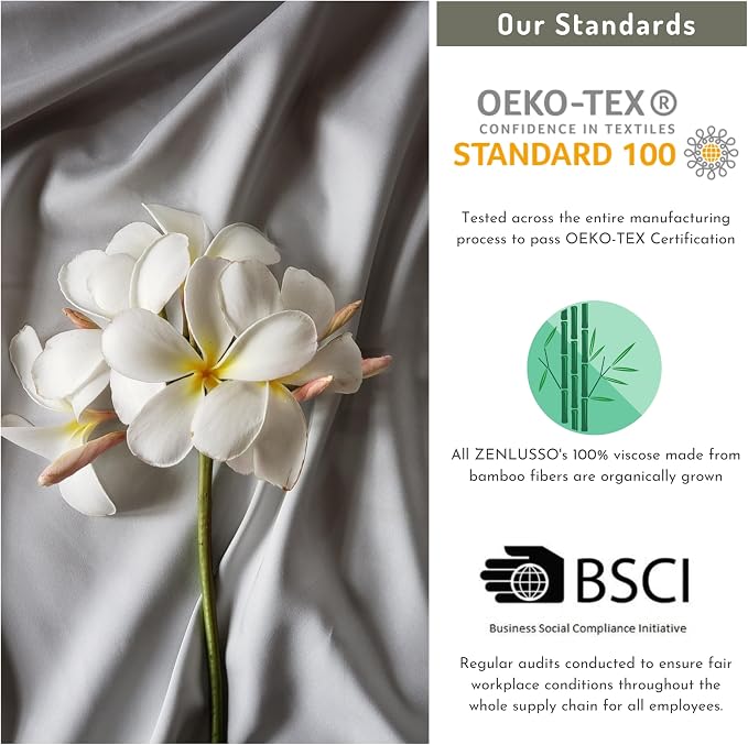 Pillowcases 100% Viscose Made from Bamboo Pillow Cases, Cooling, Luxuriously Soft, Envelope Closure, 300 Thread Count (White, Body 20"x54")