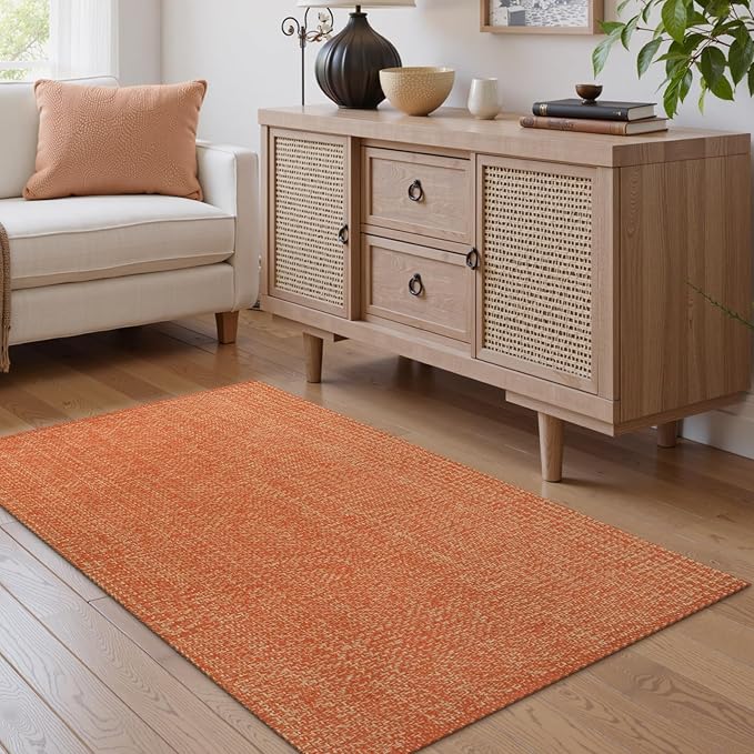 LEEVAN Washable Kitchen Rugs 3x5, Terra Bedroom Rug, Cotton Woven Entryway Rug, Modern Braided Door Mat, Farmhouse Living Room Rugs, Reversible Carpet for Laundry Room Front Porch Outdoor Doormat