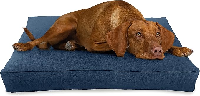 Medium - 36 x 24 x 5 - Blueberry Premium Org Hemp Dog Bed - Organic Latex Fill - Removeable Cover