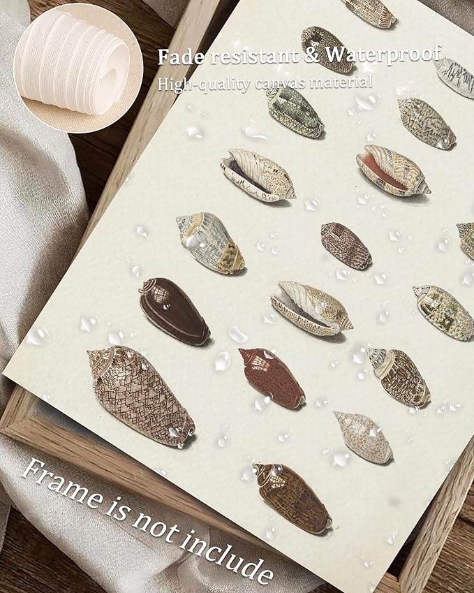 Retro Seashells Wall Art Cute Summer Art Print Vintage Larousse Illustration, Sea Life Wall Decor, Housewarming Gift, Sea Star, Shell Poster Trendy Beach House Decor, Coastal Wall Art(UNFRAMED 8x10in)