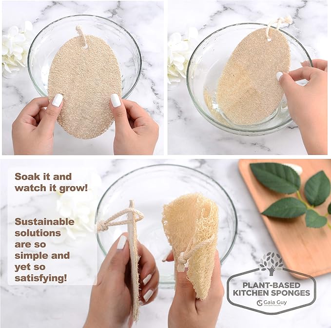 Natural Loofah Dish Sponge - 10 Pack (6 + 4 Bonus) - 100% Plant-Based, Plastic-Free Kitchen Scrubber Pads | Compostable & Zero Waste Alternative to Traditional Sponges