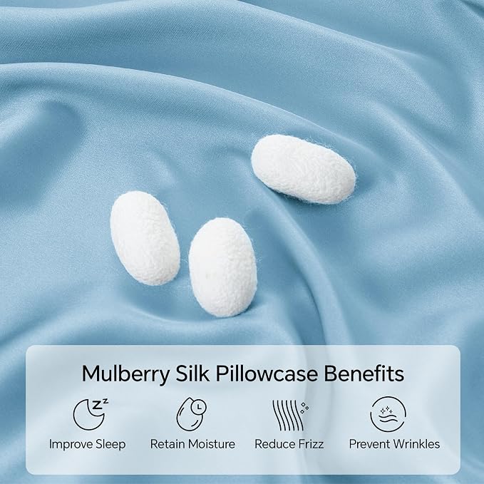 INFIIXSO Silk Pillow Cases 2 Pack Standard Size, Ultra Smooth & Soft Mulberry Silk Pillow Case for Hair and Skin, Breathable Cooling Silk Pillowcase with Hidden Zipper (Light Blue, 20x26 Inches)