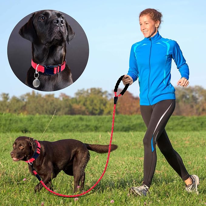 Ladoogo Reflective Dog Collar Padded with Soft Neoprene Breathable Adjustable Nylon Dog Collars for Small Medium Large Dogs (Medium (Pack of 1), Red Collar+Leash)