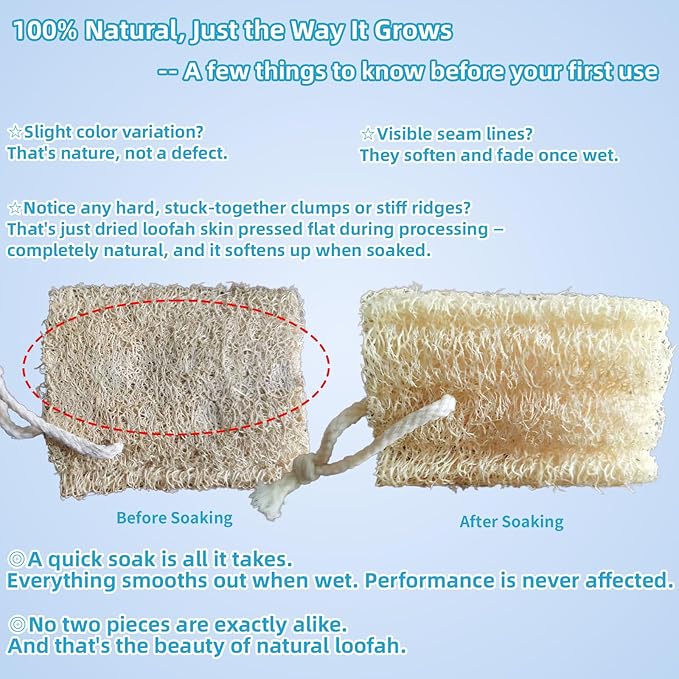 Natural Loofah Exfoliating Body Sponge Scrubber, Plant-Based Organic Loofa Luffa for Men & Women Skin Care Bath Shower Cleaning Back & Fac, Natural Sponges for Dishes (4", 4Pack)