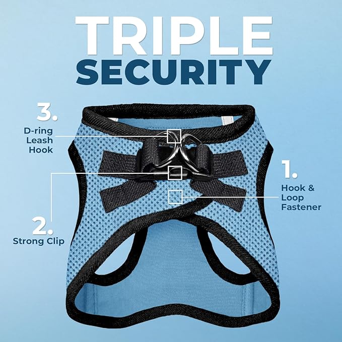 Best Pet Supplies Voyager Step-in Air All Weather Mesh Harness and Reflective Dog 5ft Leash Combo with Neoprene Handle, for Small, Medium and Large Breed Puppies - Baby Blue/Black Trim, X-Large