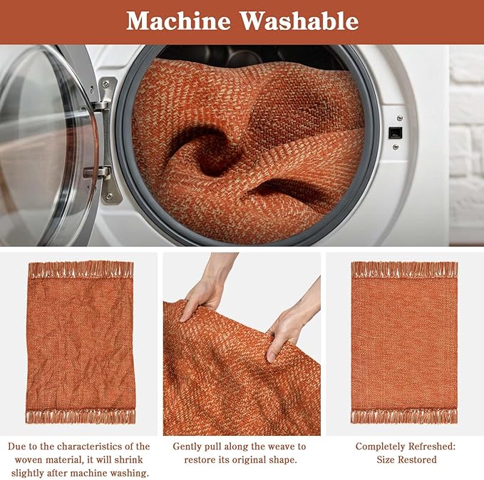 Collive Washable Area Rug 3' x 5', Modern Woven Kitchen Rugs, Terracotta Braided Cotton Rug Indoor Door Mat Throw Carpet for Entryway Living Room Nursery Laundry Room