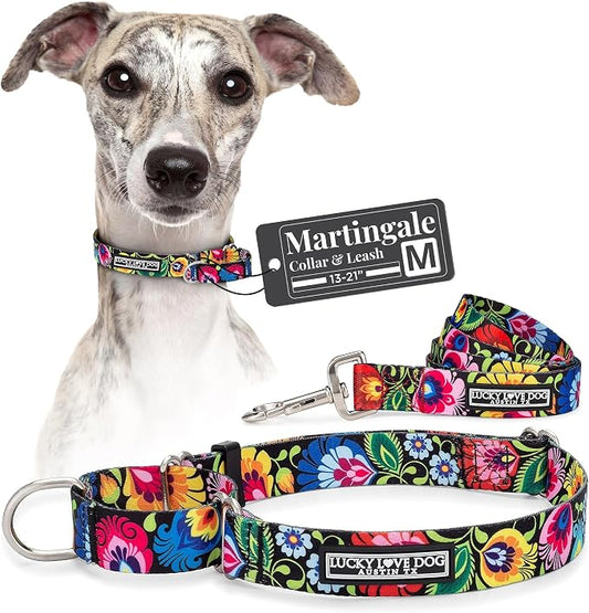 Lucky Love Dog Martingale Dog Collar & Leash - Adjustable, No-Slip, Durable, Comfortable, Soft Webbing, & Stylish Patterned Collar & Leash Set for Male and Female Dogs - Blackbird Combo, Medium