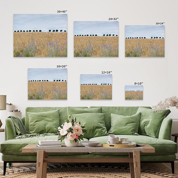 Monem Art Golden Meadow Horizon Landscape Print - Minimalist Nature Photography Poster - Wall Decor for Living Room, Bedroom or Office - 18x24 Black Framed CANVAS Wall Art by Mareike Bohmer