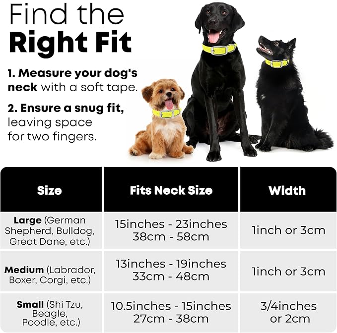 Regal Dog Products Medium Yellow Waterproof Dog Collar and Leash Set | Heavy Duty Double Buckle & D Ring - 5'ft Leash | Adjustable Biothane Dog Collar | Chew Resistant Waterproof Collar for Dogs