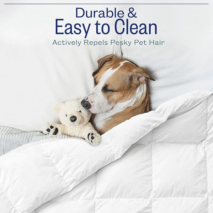 Twin/Queen/King Down Alternative Comforter, 2100 Series All-Season Duvet Insert with Corner Tabs, Box-Stitch, Soft Microfiber, Machine Washable