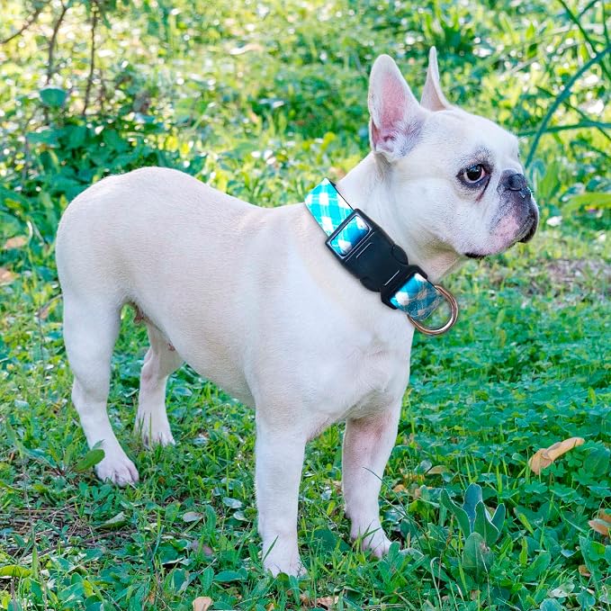 Ladoogo Reflective Dog Collar Padded with Soft Neoprene Breathable Adjustable Nylon Dog Collars for Small Medium Large Dogs (Large (Pack of 1), Vivid Blue Plaid Collar+Leash)