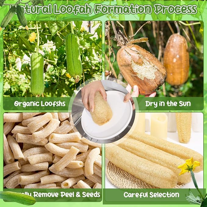 6 Pack Natural Loofah Sponge 13.8-15.7 Inch for Kitchen Bath & Body Scrub Organic Exfoliating Sponge for Dishes Skin Men Women