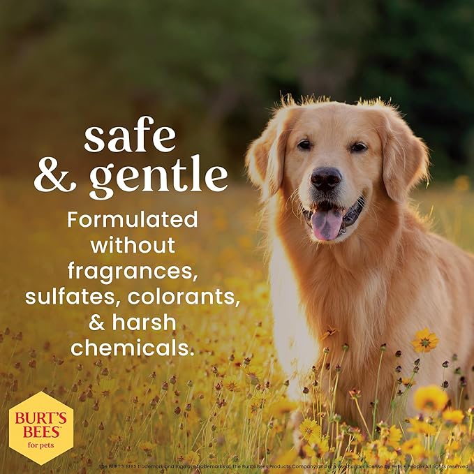 Burt's Bees for Pets Oatmeal Dog Shampoo with Honey, Soothing Formula for Itchy and Sensitive Dog Skin, Colloidal Oat Flour and Honey, pH Balanced, Sulfate-Free, 16 Fl Oz