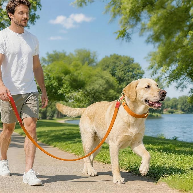 Dog Collar and Leash Set with Metal Quick Release Buckle, Adjustable, Breathable Nylon, Durable, Soft and Comfortable, No Pull for Walking and Training, Orange, L (14.9"-22.8")