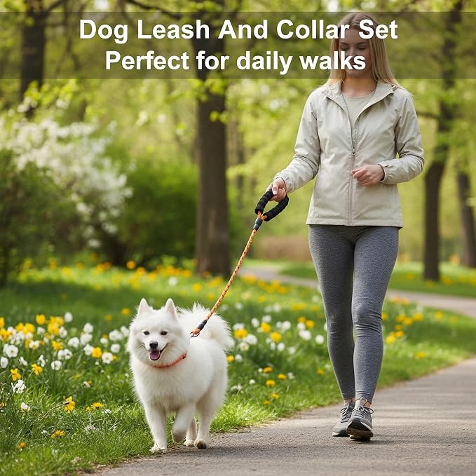 Dog Leash and Collar Set – 6 FT Strong Rope Leash with Padded Handle & Adjustable Nylon Collar Reflective for Small Medium Large Dogs (Orange, S)