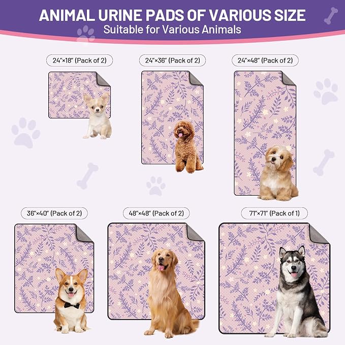 Washable Dog Pee Pads - Absorbent Reusable Puppy Training Pads, Waterproof Leak - Proof & Non - Slip for Crate Whelping Potty Training 72x72 (Pack of 1)