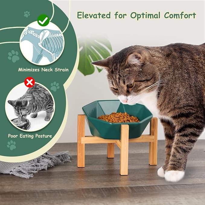 Green with Stand Ceramic Tilted Elevated Raised Pet Bowl with Bamboo Stand for Cats and Dogs No Spill Pet Food Water Feeder