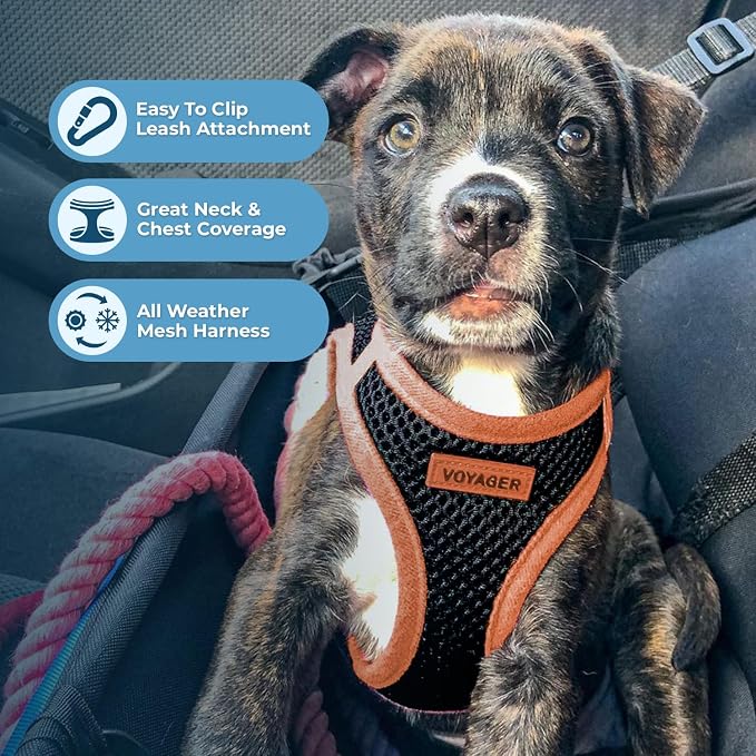 Best Pet Supplies Voyager Step-in Air All Weather Mesh Harness and Reflective Dog 5ft Leash Combo with Neoprene Handle, for Small, Medium and Large Breed Puppies - Set (Black/Orange Trim), X-Large