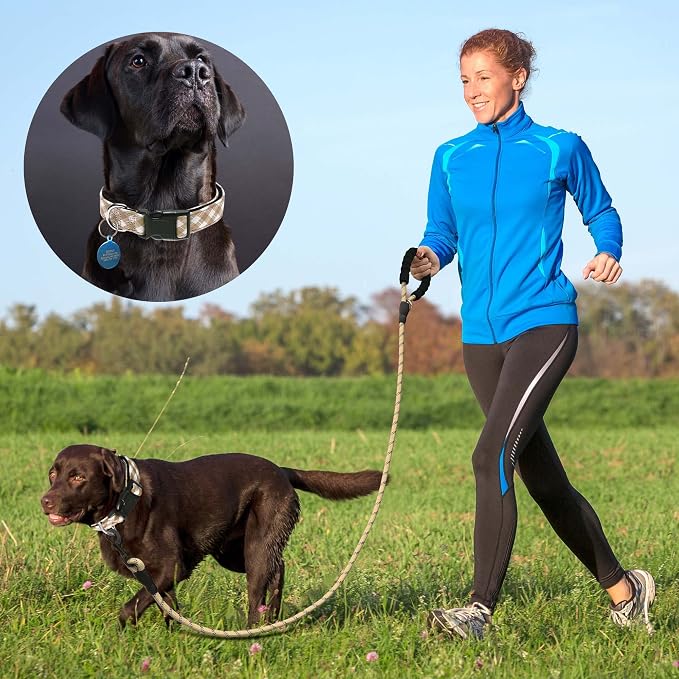 Ladoogo Reflective Dog Collar Padded with Soft Neoprene Breathable Adjustable Nylon Dog Collars for Small Medium Large Dogs (Large (Pack of 1), Vanilla Plaid Collar+Leash)