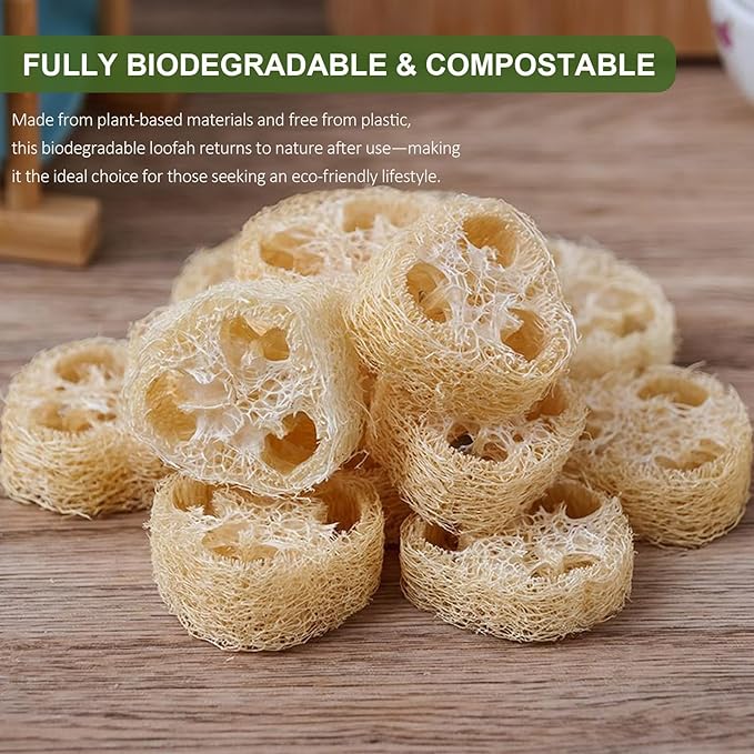 Natural Loofah Sponge for Soap Making, 20 Pack Organic Loofahs Slices Cuts Set, Loofa Exfoliating Body Scrubber, Shower Sponge Luffas for Women and Men