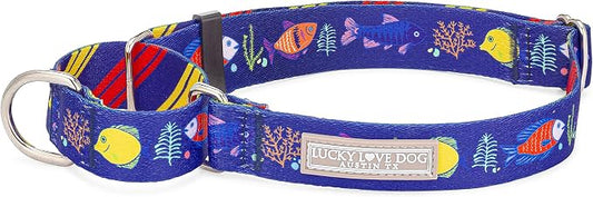 Lucky Love Dog Martingale Collar, Blue Color No Slip Collars for Medium Dogs, Tropical Fish Pattern Martingale Dog Collar, Great for Whippets, Greyhounds, and More (Mackey, Medium)