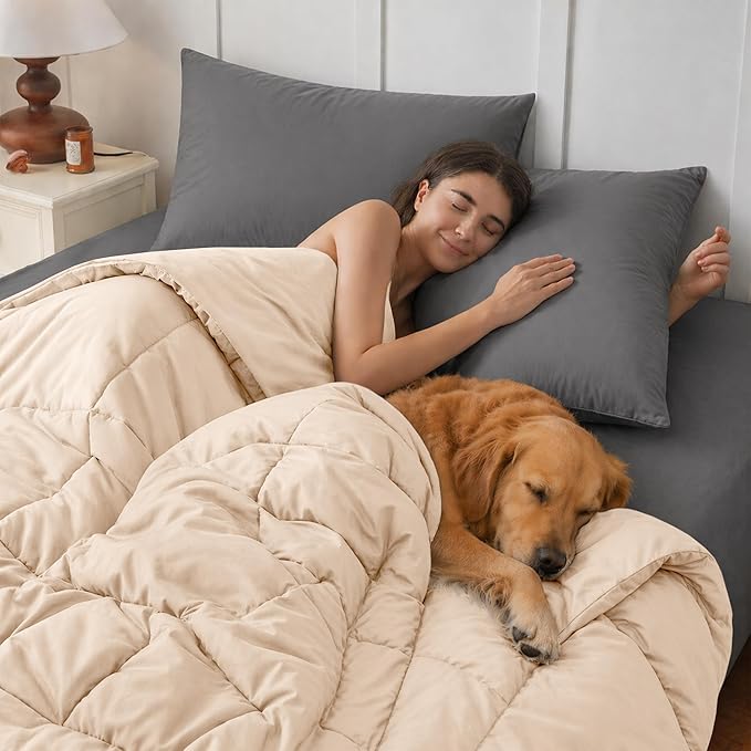 LUX Décor Twin Comforter – 92x68 Ultra-Soft Down Alternative Duvet Insert with Corner Tabs & Box Stitching, Hotel Quality Plush Hypoallergenic Microfiber, Oeko-TEX Certified – Beige