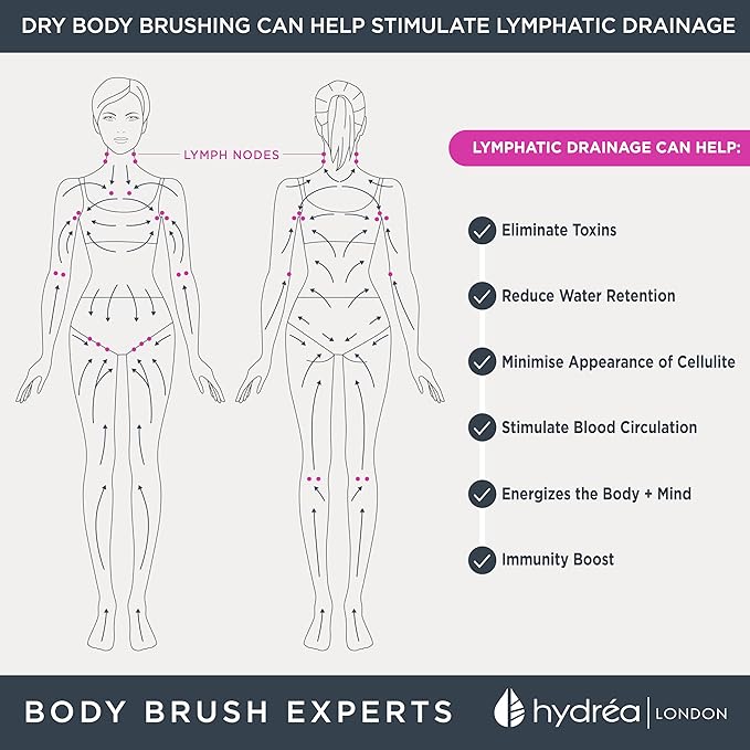 Hydréa London Round Natural Body Brush with Mane/Cactus Bristle for Dry Brushing to Exfoliate, Remove Dead Skin, Cellulite and Aid Lymphatic Drainage.