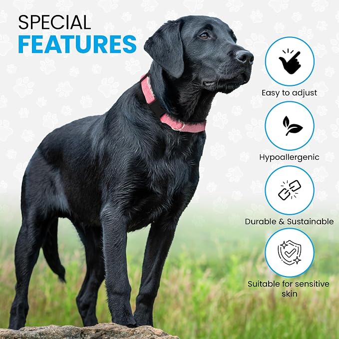 Hypoallergenic Dog Collar - Great for Sensitive Skin, Soft Collar for Dogs, Soft Organic & Earth Friendly (Small, Brown)