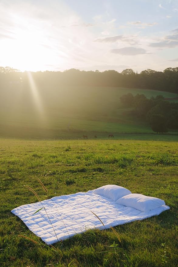 Bed Threads - Does-It-All Duvet Insert - 100% Plant-Based Lyocell Fill - 500 GSM - Medium Weight for All Seasons - Natural Down Alternative - Hypoallergenic & Vegan - Machine Washable - Full/Queen