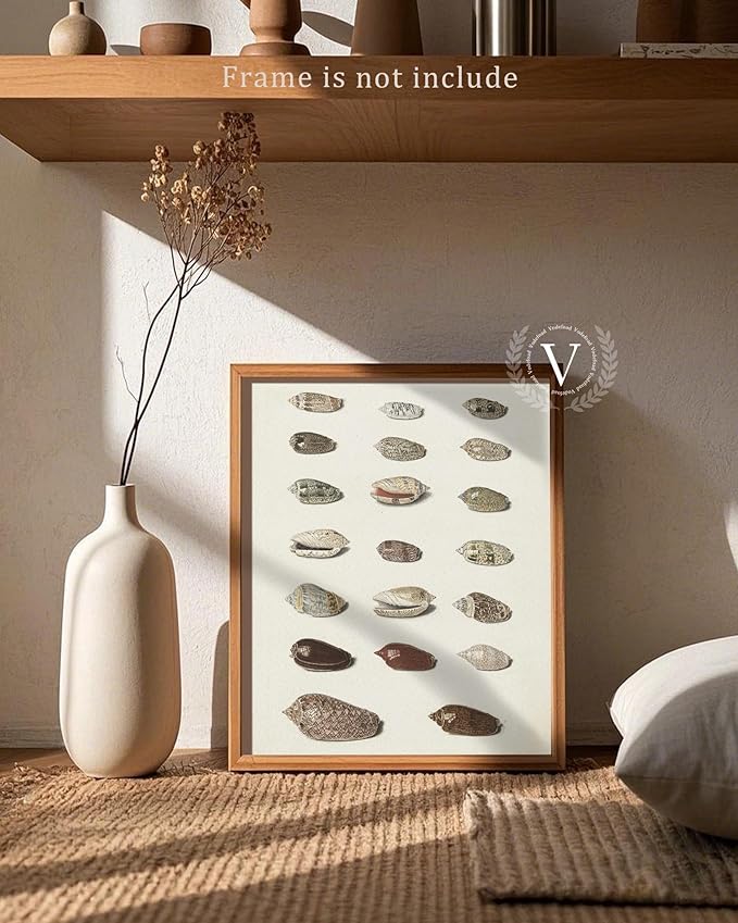 Retro Seashells Wall Art Cute Summer Art Print Vintage Larousse Illustration, Sea Life Wall Decor, Housewarming Gift, Sea Star, Shell Poster Trendy Beach House Decor, Coastal Wall Art(UNFRAMED 8x10in)