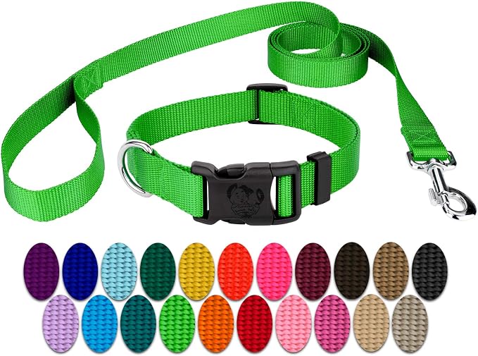 Country Brook Petz - Everyday Nylon Dog Collar and Leash - 10+ Cool Colors (3/4 Inch, Small, Hot Lime Green)