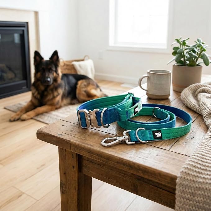 Haminway Ocean Wave Tactical Dog Collar and Leash Set – Heavy Duty Nylon, Metal Buckle, Padded Handle, Gradient Color Design – Durable for Large Dogs, Training & Outdoor Walking (L Size)