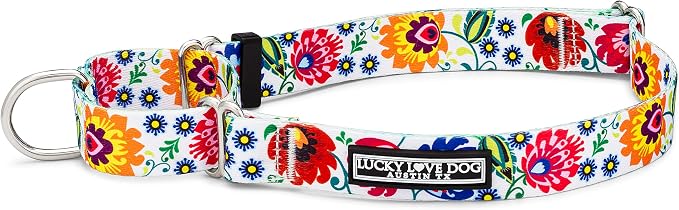 Lucky Love Dog Martingale Dog Collar - Adjustable, No-Slip, Durable, & Soft Webbing Collar for Male and Female Dogs Ideal for Training & Walking - Ladybird, Medium