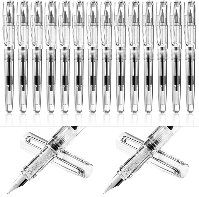 16 Pieces Fountain Pen Refillable Disposable Fountain Pens for Writing Fine Nib Signature Ink Pen Piston Filling Pen for Calligraphy Painting, Drawing, School, Scrapbook and Sketch(Clear Color)