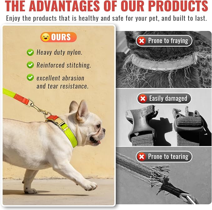 Dog Collar and Leash Set with Metal Quick Release Buckle, Adjustable, Breathable Nylon, Durable, Soft and Comfortable for Walking and Training, Fluorescent Yellow, M (12.6"-19.6")