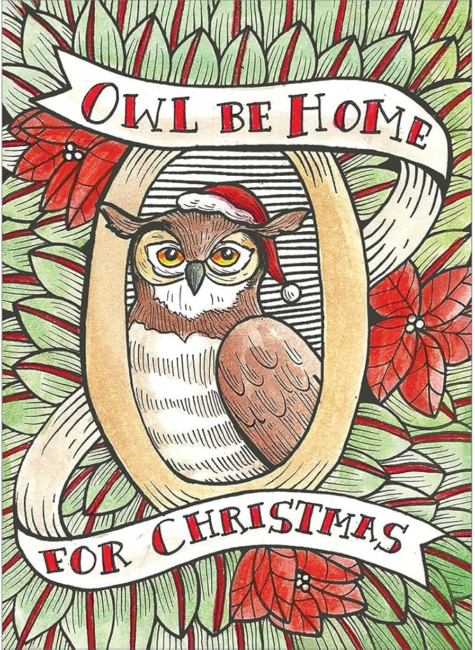 Tree-Free Greetings Christmas Cards and Envelopes, Holiday Card Set, 5 x 7 Inch Cards, Box Set of 10, Owl Be Home, (HB93236)