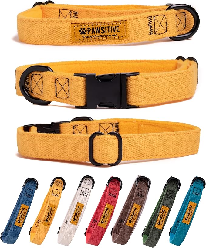 Pawsitive Hemp Dog Collar - Super Soft Hypoallergenic Lining. Great for Small, Medium and Large Dogs; Large Yellow