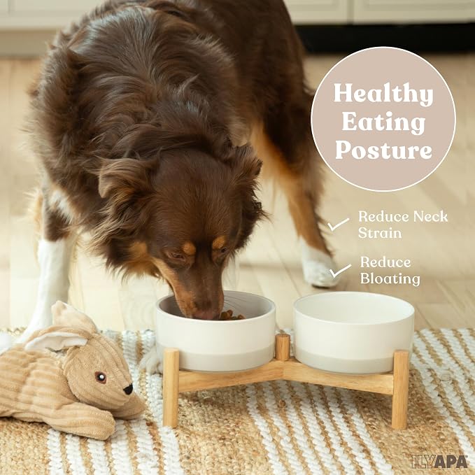 Ilyapa Ceramic Dog Bowls - Elevated for Medium Sized Pet with Raised Food and Water Set - Gray Double 6 inch, 28 Oz Bowls & 13x6.3x5.5 Wooden Stand