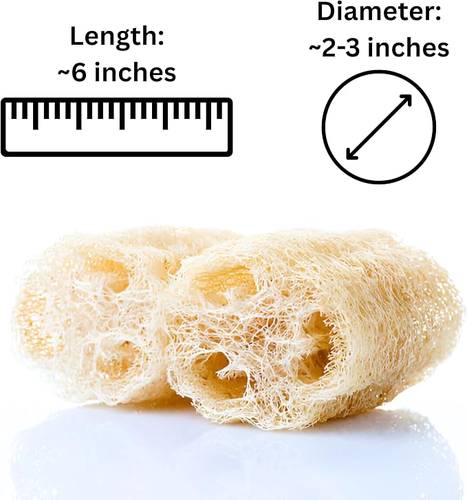Birdee 100% Plant-Based Loofah Body Wash Sponge - Natural Luffa for Exfoliating and Radiant Skin, Hand-crafted in Vietnam, Pack of 4