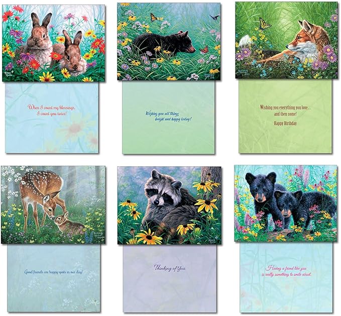Leanin' Tree, Nature's Wonders, Greeting Cards Assortment Box, Assorted Cards with Envelopes, All Occasion, 20 Cards, 22 Envelopes