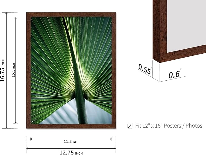Monem Art Tropical Palm Leaf Macro Photography Print - Minimalist Botanical Nature Art Poster - Wall Decor for Living Room, Bedroom or Office - 12x16 Brown Framed Wall Art by Mareike Bohmer