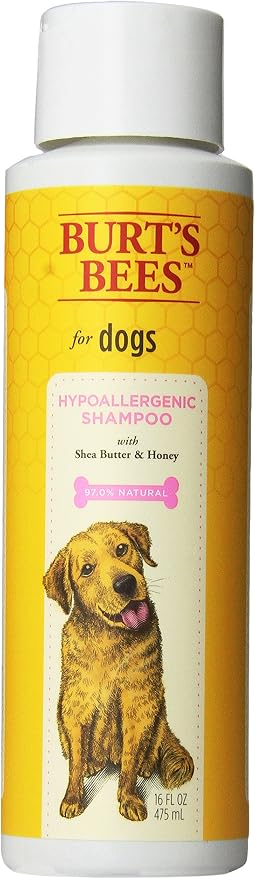 Burt's Bees for Pets Hypoallergenic Dog Shampoo with Shea Butter and Honey, Gentle Fragrance Free Shampoo for Sensitive Dogs with 95% Natural Origin Skin and Coat Formula, 16 Fl Oz