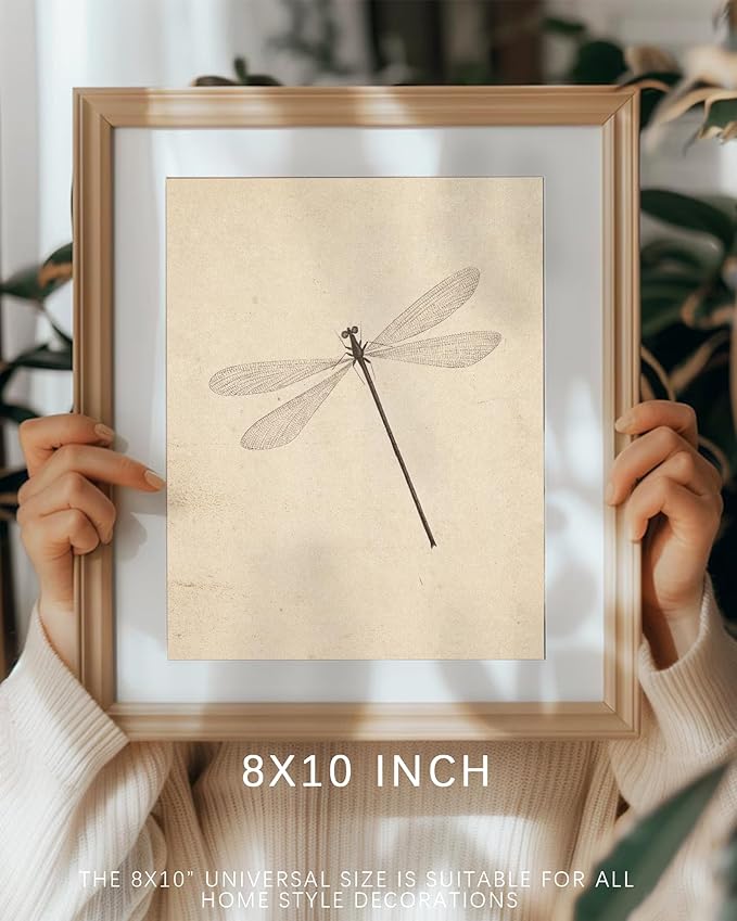 Vodefoad Vintage Dragonfly Sketch Art Print, Neutral Insect Animal Wall Decor, Antique Dragonfly Drawing Canvas Oil Painting, Minimalist Animal Wall Decorations, Retro Artwork Pictures for Gallery Bedroom Living Room Decor - 8x10Inch Unframe