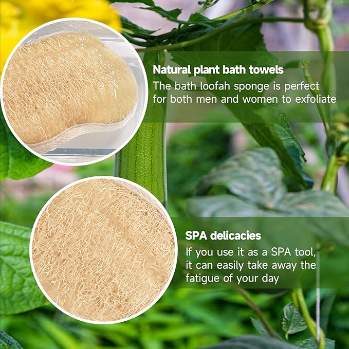 3 Pack Natural Loofah Exfoliating Body Scrubber, Biodegradable Bath Luffa Sponge, Loofas Body Scrub, Organic Loofah with Handle, Shower Loofah for Women